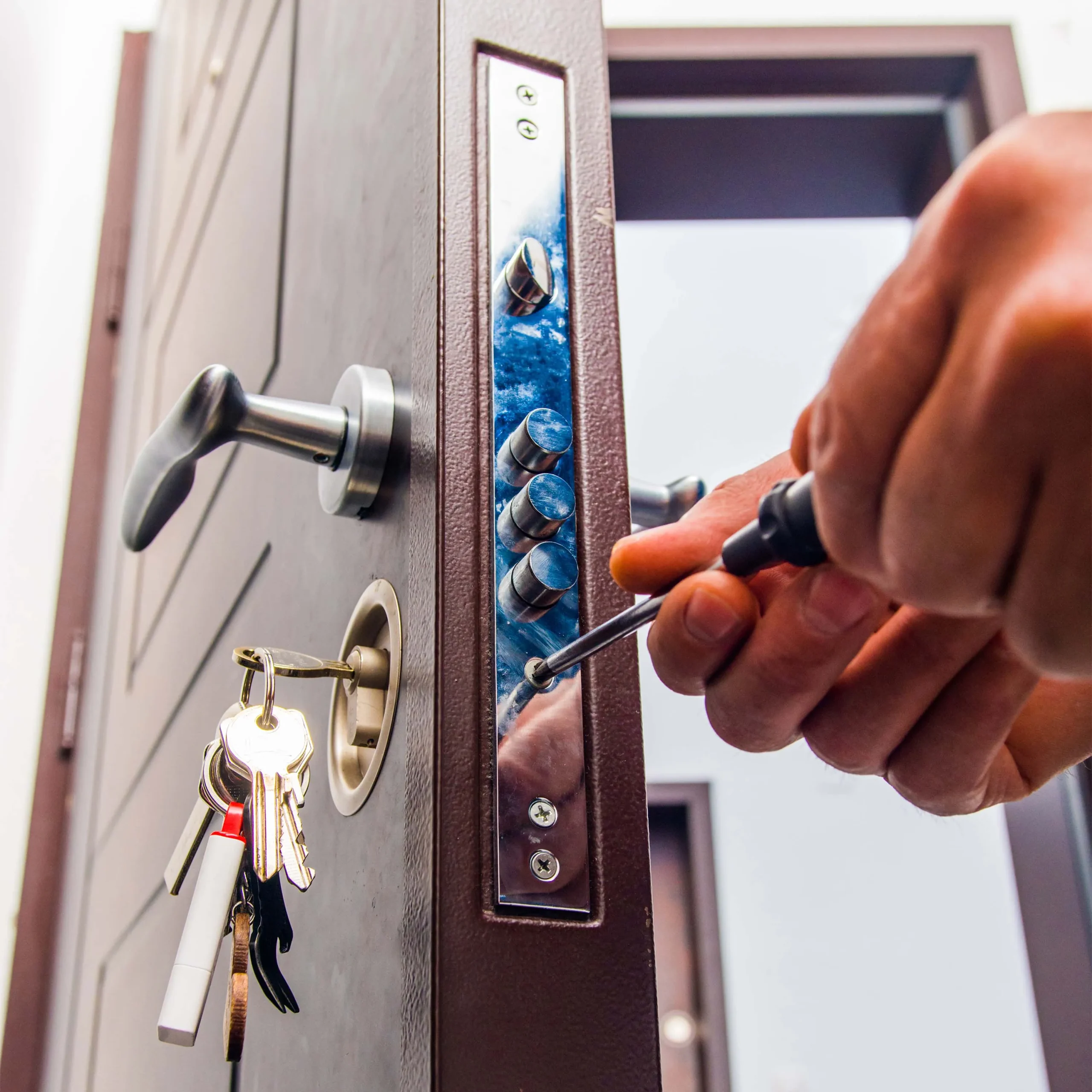 shutterstock_1321170401 copy