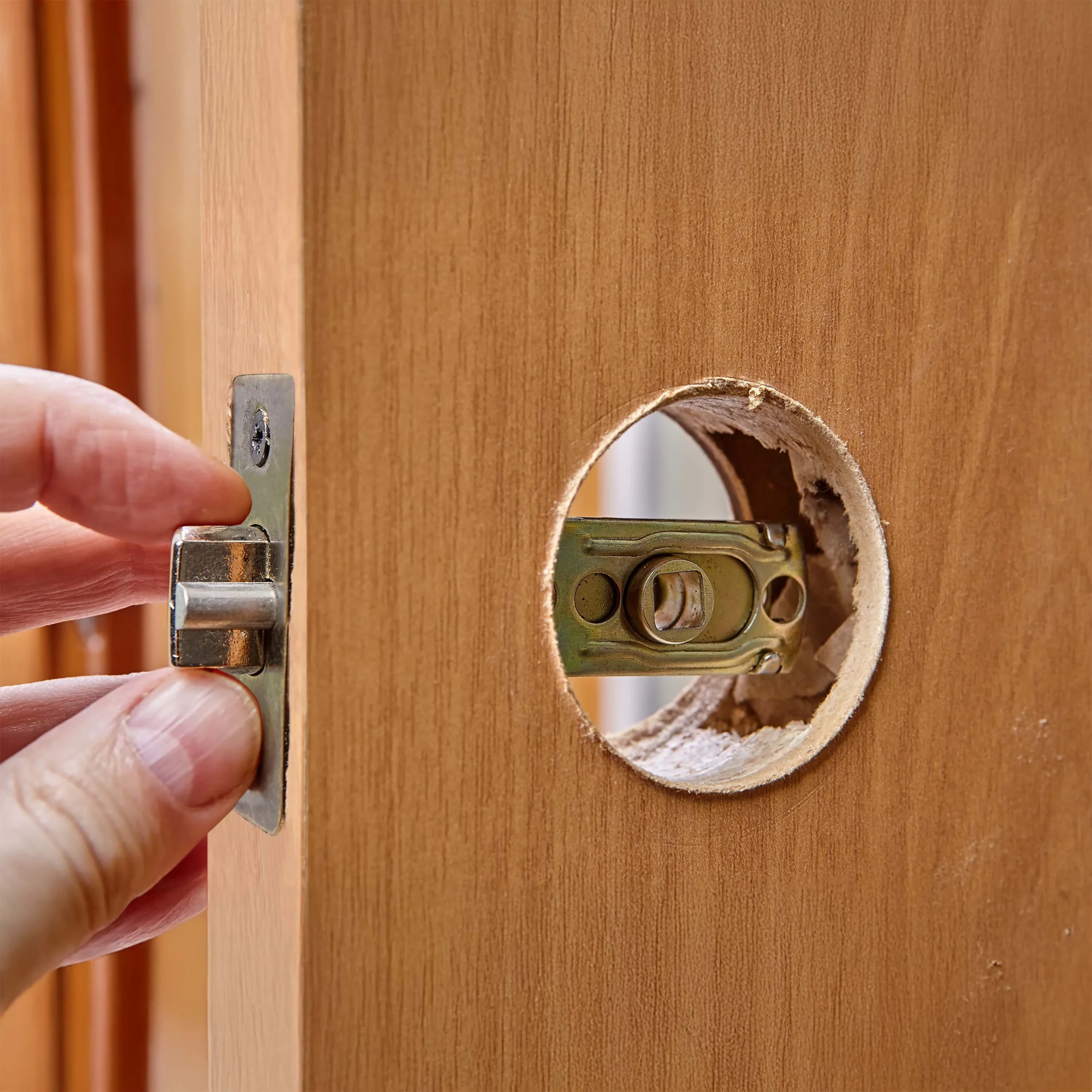 shutterstock_1885699924 copy